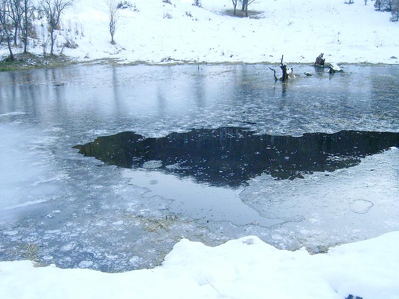 20110122 046.jpg
